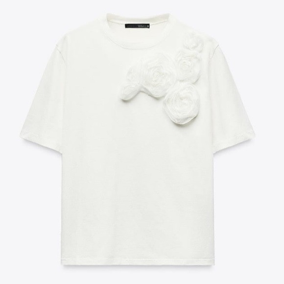 ZARA NWT Organza mesh 3D Floral Top Size M
Casual cottage spring tshirt - Picture 2 of 9